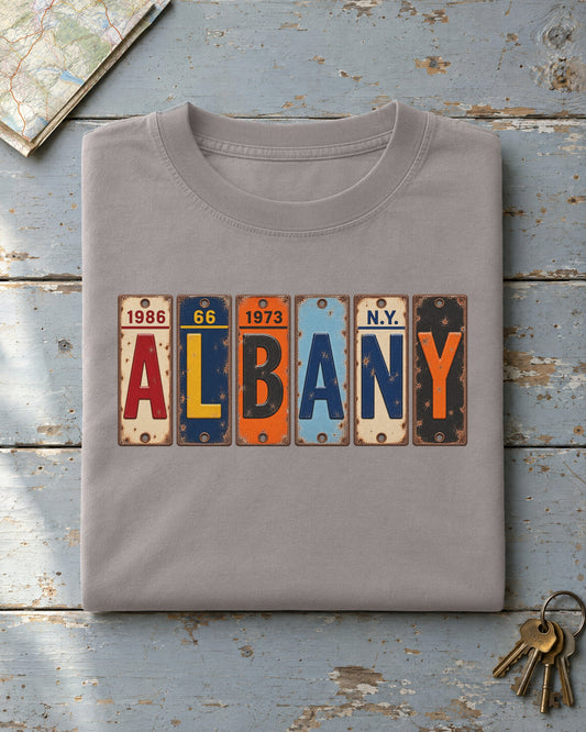 Albany, New York vintage license plate t-shirt in Grey